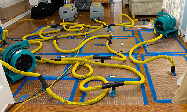 Professional Water Extraction technician working in Camp Dennison, OH